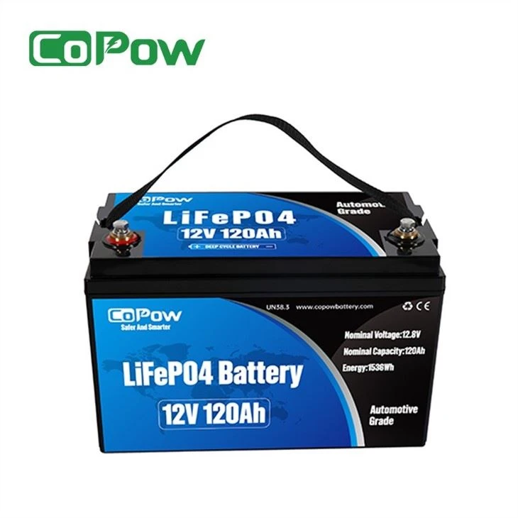 120ah lithium ion battery (3)